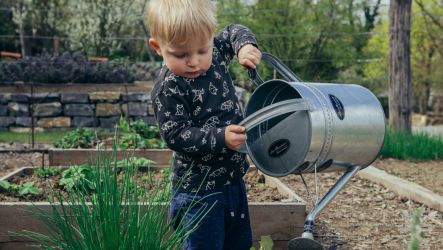Creating an Engaged Eating Environment: 7 Tips for Gardening with Young Children