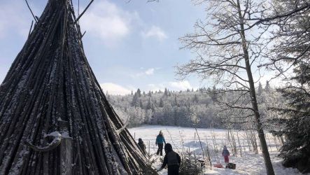 Inspiring Children to Play Outside – An Interview with Lori Toma from Growing Roots Forest Play