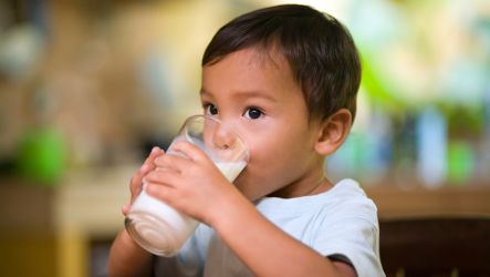 Milk at meals and snacks: more than hydration