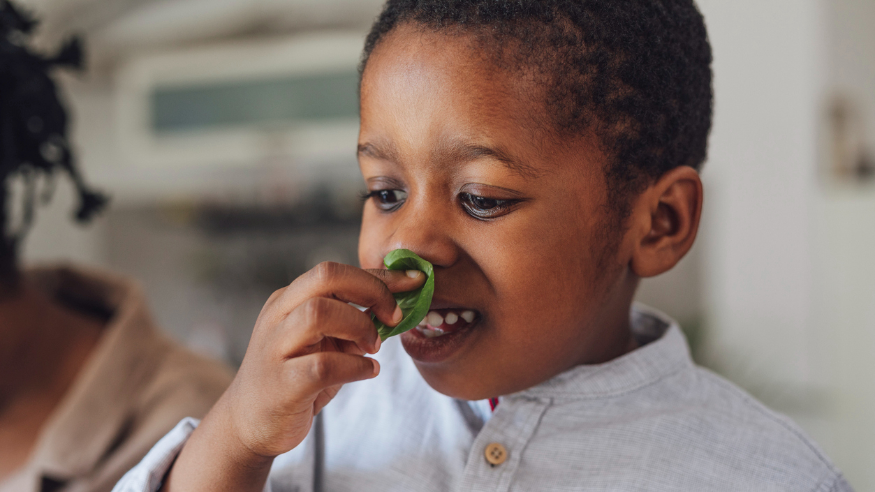 child smelling basil