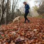 Woman walking dog unsplash 150x150